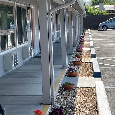 Lark Motel Willits Exterior photo